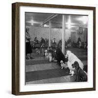 Poodle's Being Trained in Obedience School-null-Framed Photographic Print