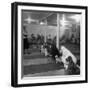 Poodle's Being Trained in Obedience School-null-Framed Photographic Print