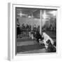 Poodle's Being Trained in Obedience School-null-Framed Photographic Print