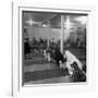 Poodle's Being Trained in Obedience School-null-Framed Photographic Print