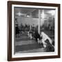 Poodle's Being Trained in Obedience School-null-Framed Photographic Print