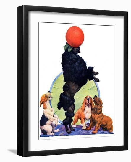 "Poodle Tricks,"June 19, 1926-Robert L. Dickey-Framed Premium Giclee Print