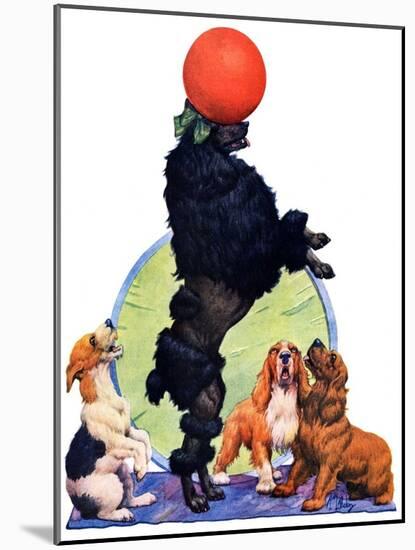 "Poodle Tricks,"June 19, 1926-Robert L. Dickey-Mounted Premium Giclee Print