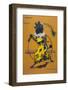 Poodle Wearing Clothes Performs with a Hoop-A. Vitmar-Framed Photographic Print