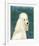 Poodle (white)-John Golden-Framed Giclee Print