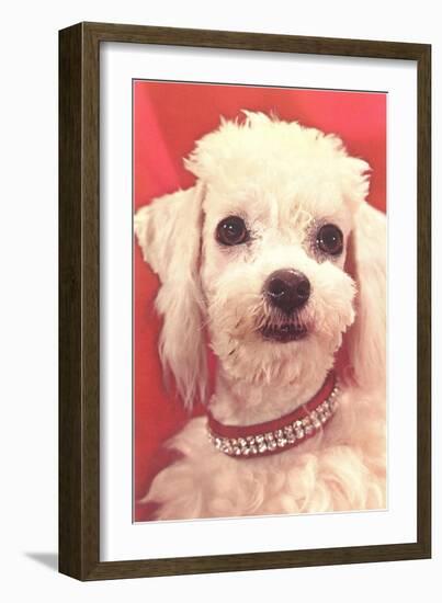 Poodle with Diamond Collar-null-Framed Art Print