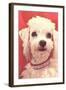 Poodle with Diamond Collar-null-Framed Art Print