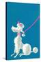 Poodle with Pink Leash-null-Stretched Canvas