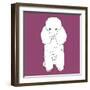 Poodle-Anna Nyberg-Framed Art Print