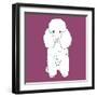 Poodle-Anna Nyberg-Framed Art Print