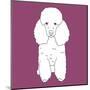 Poodle-Anna Nyberg-Mounted Art Print
