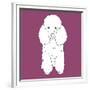 Poodle-Anna Nyberg-Framed Giclee Print