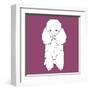 Poodle-Anna Nyberg-Framed Giclee Print