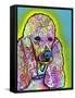 Poodle-Dean Russo-Framed Stretched Canvas