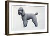 Poodle-Harro Maass-Framed Giclee Print