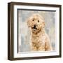 Poodle-Keri Rodgers-Framed Art Print