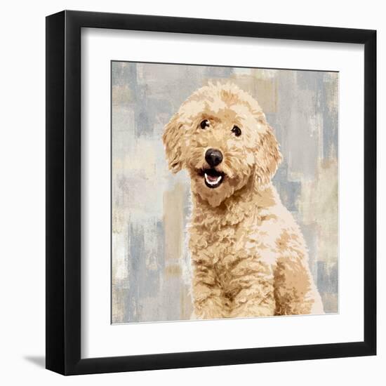 Poodle-Keri Rodgers-Framed Art Print