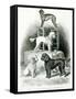 Poodles and Whippet - Group of Mr. Walton's Performing Dogs-null-Framed Stretched Canvas