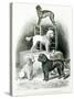 Poodles and Whippet - Group of Mr. Walton's Performing Dogs-null-Stretched Canvas