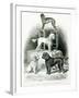 Poodles and Whippet - Group of Mr. Walton's Performing Dogs-null-Framed Giclee Print