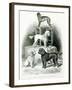 Poodles and Whippet - Group of Mr. Walton's Performing Dogs-null-Framed Giclee Print