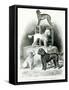 Poodles and Whippet - Group of Mr. Walton's Performing Dogs-null-Framed Stretched Canvas