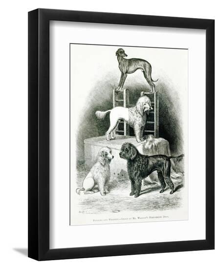 Premium Giclee Print, , large