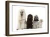 Poodles Row of 4 (Caniche)-null-Framed Photographic Print