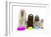 Poodles-null-Framed Photographic Print