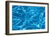 Pool 7-CJ Elliott-Framed Premium Giclee Print