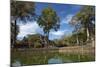Pool and Baphuon Temple, Angkor Thom Temple Complex, Angkor World Heritage Site-David Wall-Mounted Photographic Print