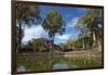 Pool and Baphuon Temple, Angkor Thom Temple Complex, Angkor World Heritage Site-David Wall-Framed Photographic Print