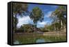 Pool and Baphuon Temple, Angkor Thom Temple Complex, Angkor World Heritage Site-David Wall-Framed Stretched Canvas