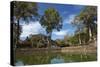 Pool and Baphuon Temple, Angkor Thom Temple Complex, Angkor World Heritage Site-David Wall-Stretched Canvas