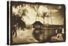 Pool and Palms, Australia-Theo Westenberger-Stretched Canvas