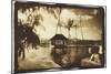 Pool and Palms, Australia-Theo Westenberger-Mounted Photographic Print