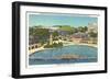 Pool and Park, Hershey, Pennsylvania-null-Framed Art Print