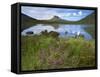 Pool and Stac Pollaidh, Coigach - Assynt Swt, Sutherland, Highlands, Scotland, UK, June 2011-Joe Cornish-Framed Stretched Canvas