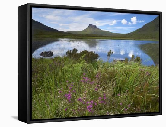 Pool and Stac Pollaidh, Coigach - Assynt Swt, Sutherland, Highlands, Scotland, UK, June 2011-Joe Cornish-Framed Stretched Canvas