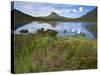 Pool and Stac Pollaidh, Coigach - Assynt Swt, Sutherland, Highlands, Scotland, UK, June 2011-Joe Cornish-Stretched Canvas