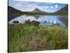 Pool and Stac Pollaidh, Coigach - Assynt Swt, Sutherland, Highlands, Scotland, UK, June 2011-Joe Cornish-Stretched Canvas