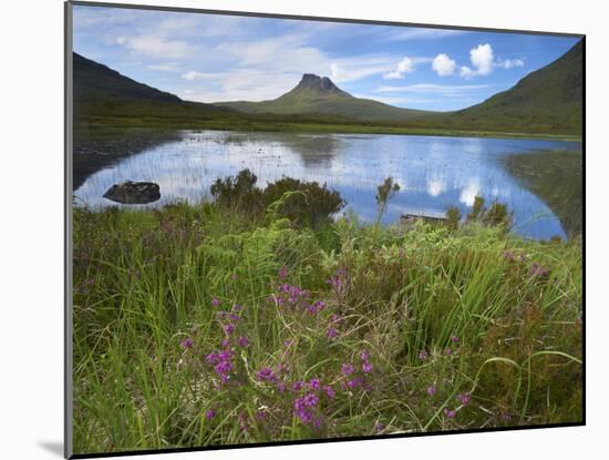 Pool and Stac Pollaidh, Coigach - Assynt Swt, Sutherland, Highlands, Scotland, UK, June 2011-Joe Cornish-Mounted Premium Photographic Print