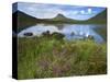 Pool and Stac Pollaidh, Coigach - Assynt Swt, Sutherland, Highlands, Scotland, UK, June 2011-Joe Cornish-Stretched Canvas