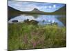 Pool and Stac Pollaidh, Coigach - Assynt Swt, Sutherland, Highlands, Scotland, UK, June 2011-Joe Cornish-Mounted Photographic Print