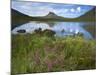 Pool and Stac Pollaidh, Coigach - Assynt Swt, Sutherland, Highlands, Scotland, UK, June 2011-Joe Cornish-Mounted Photographic Print
