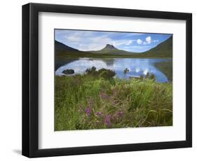 Pool and Stac Pollaidh, Coigach - Assynt Swt, Sutherland, Highlands, Scotland, UK, June 2011-Joe Cornish-Framed Photographic Print