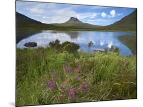 Pool and Stac Pollaidh, Coigach - Assynt Swt, Sutherland, Highlands, Scotland, UK, June 2011-Joe Cornish-Mounted Photographic Print