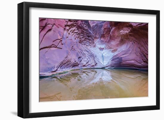 Pool and Supai Sandstone in North Canyon, Grand Canyon National Park, Arizona-Tom Till-Framed Photographic Print