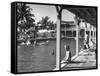 Pool at the British Colonial Hotel-null-Framed Stretched Canvas