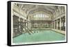 Pool, Greenbrier Hotel, White Sulphur Springs, West Virginia-null-Framed Stretched Canvas